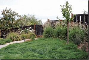 coast front lawn