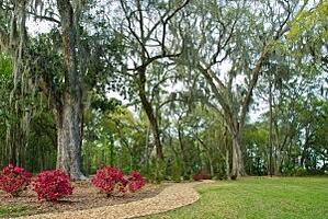 WWT Blog 6.20.14