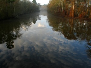 Ogeechee River