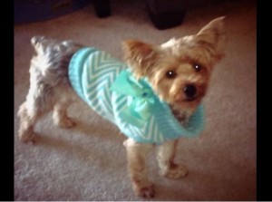 Mila_Mandy Beasley Heyward